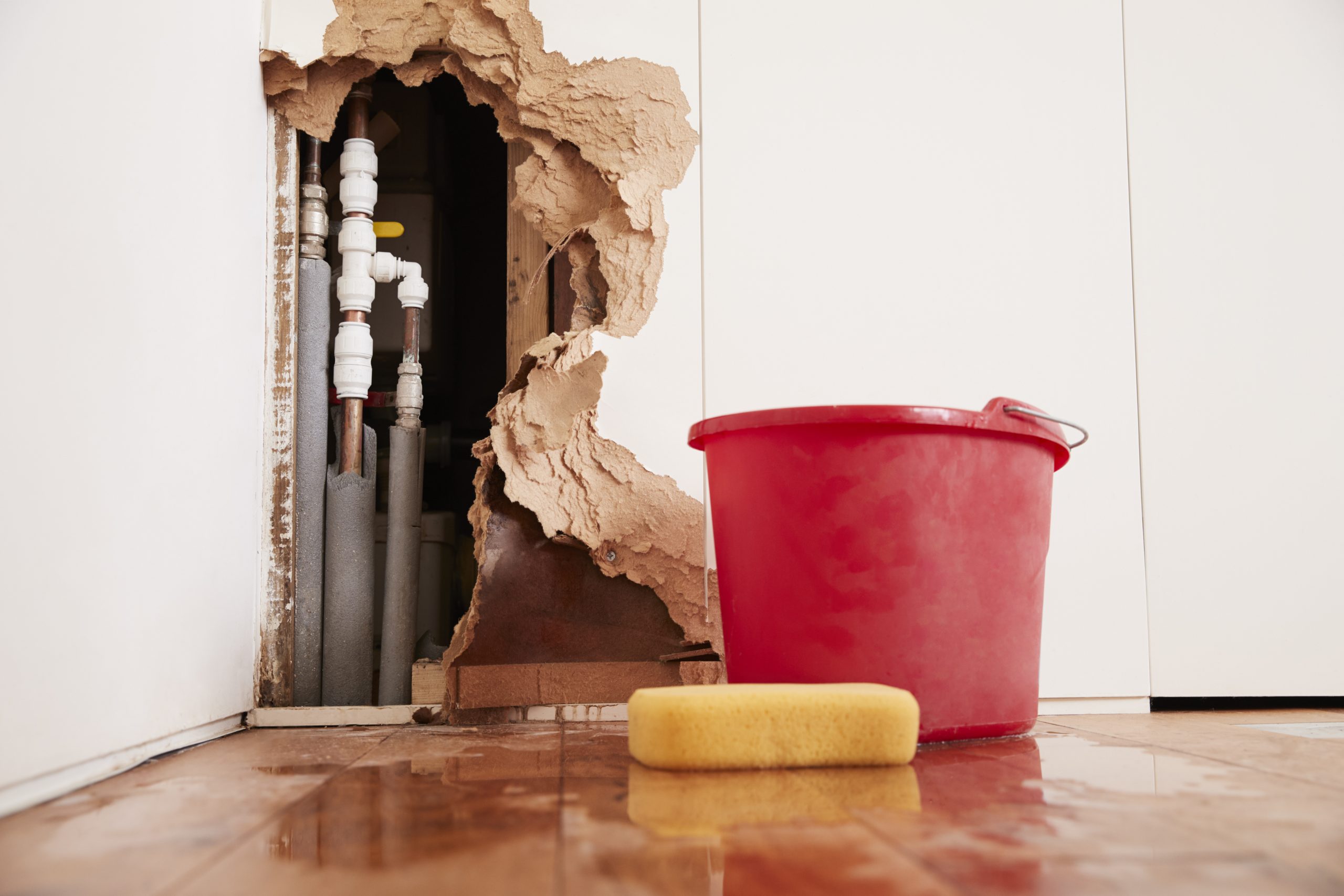 best water damage restoration near me